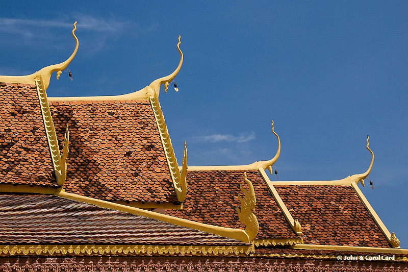 _MG_4719 Roofline.JPG